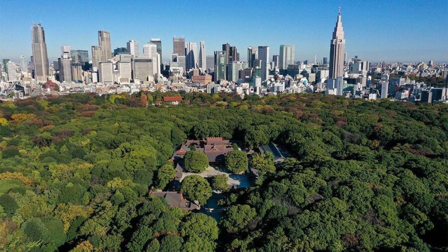 Tokyo: Tokyo Private Day Tour With Guide - Tokyo Skytree brings the city into focus