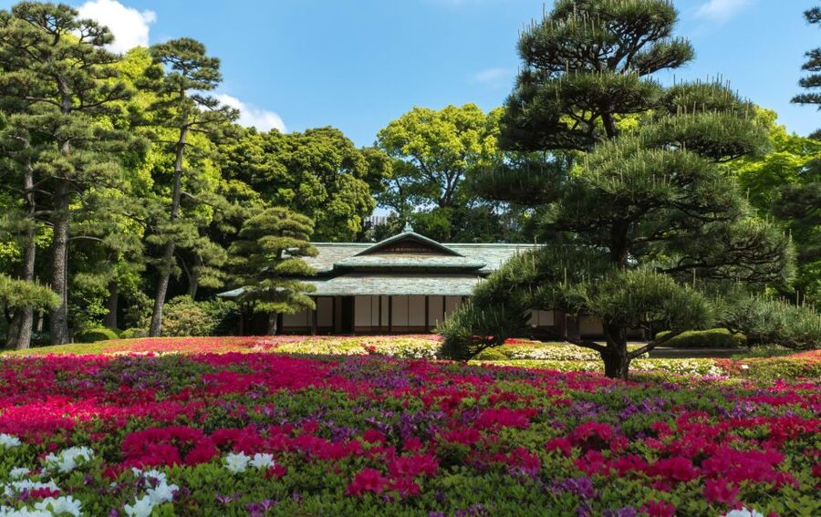 Tokyo: Tokyo Private Day Tour With Guide - Takeshita Street turns the volume back up