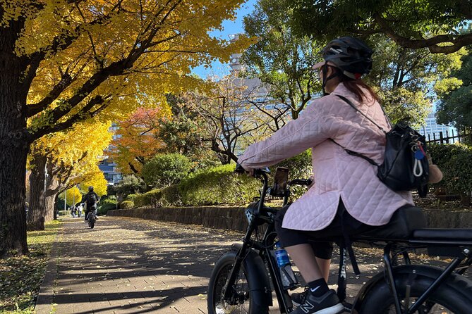 Tokyo Top Highlights 3h Guided E-bike Tour - What the guide adds to the ride