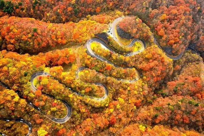 Tokyo: Toshogu Shrine (Nikko Toshogu), Lake Chuzenji, Kegon Falls - Why Nikko makes a strong day trip from Tokyo
