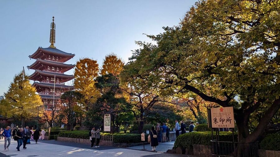 Tokyo: Tour Privado por Tokio en español - A full day that connects old and new Tokyo