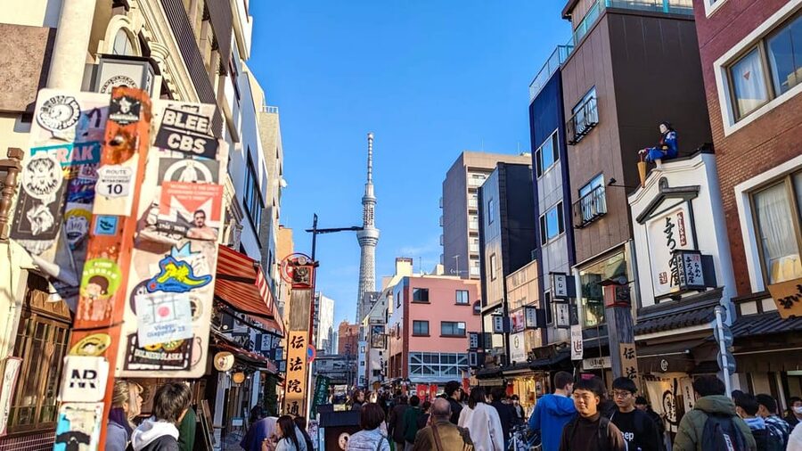 Tokyo: Tour Privado por Tokio en español - Akihabara, anime, manga, and maid cafes