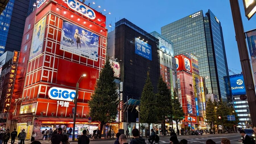 Tokyo: Tour Privado por Tokio en español - What the private Spanish format is worth