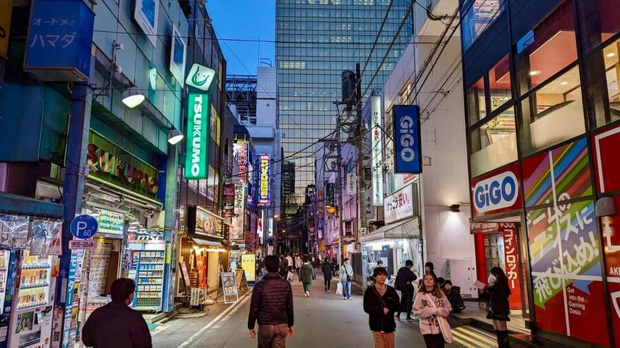 Tokyo: Tour Privado por Tokio en español - Timing, transport, and comfort