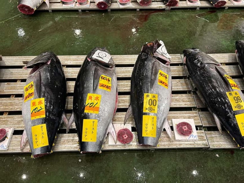 Tokyo Toyosu Tuna Auction + Breakfast (Sushi Dai or Bentomi) - Why Toyosu’s tuna auction is worth the early alarm