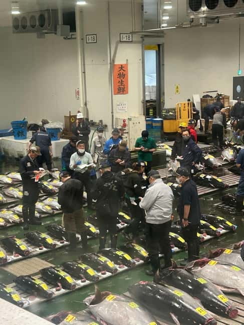 Tokyo Toyosu Tuna Auction + Breakfast (Sushi Dai or Bentomi) - The guide turns hand signals into a story