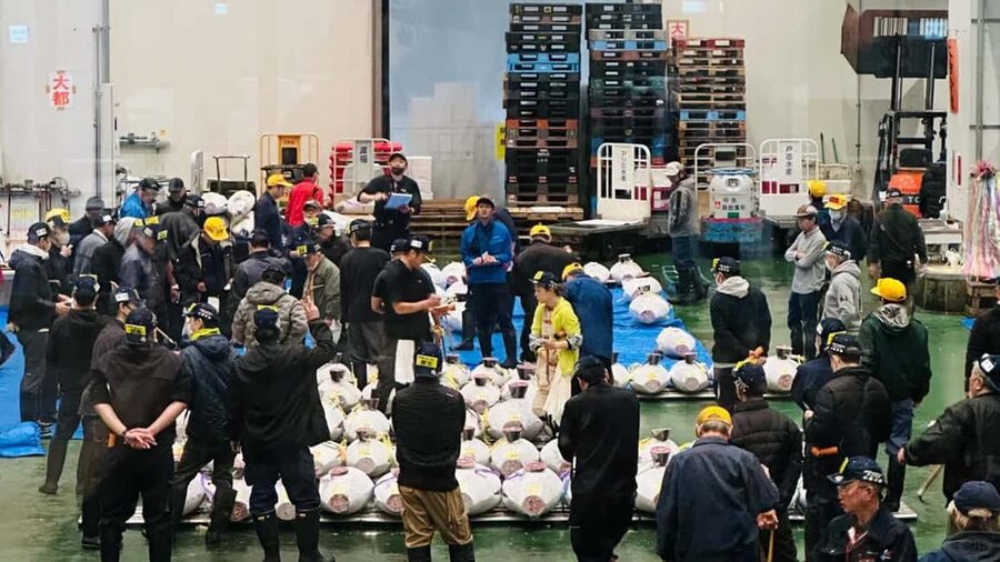 Tokyo: Toyosu Tuna Auction &Tsukiji Market Gourmet Adventure - Tsukiji from 8 to 8:30 a.m.