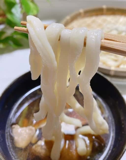 Tokyo: Traditional foot-kneaded Udon noodles class - Who should book this experience