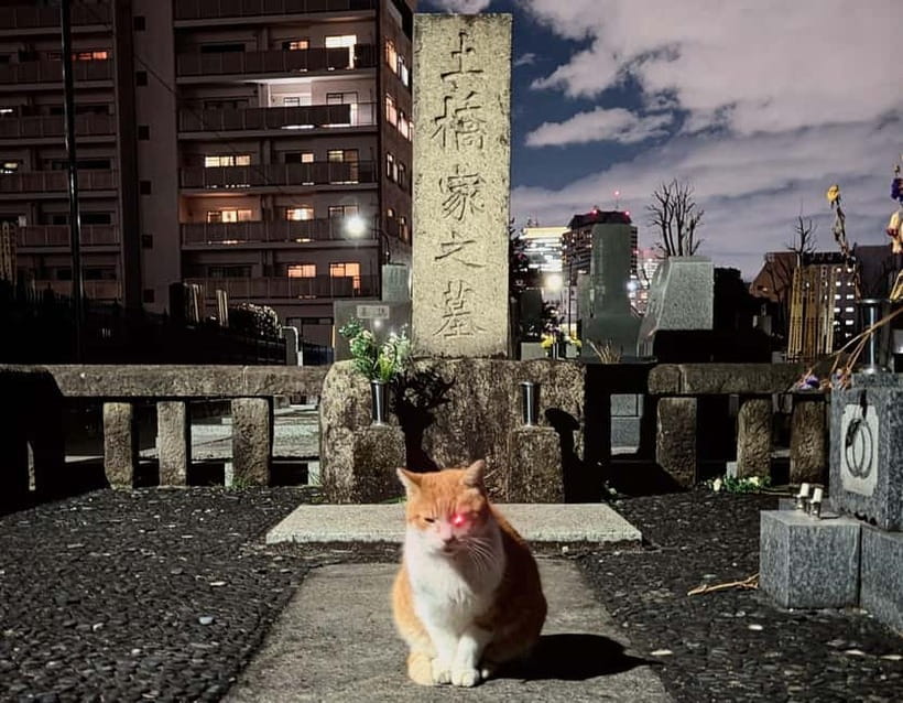 Tokyo: True Crime And Ghost Stories Tour - Starting at Hanazono Shrine in Shinjuku