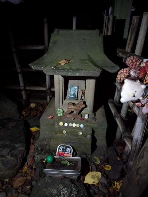 Tokyo: True Crime And Ghost Stories Tour - Kabukicho: gang wars, nightlife, and the price of secrecy