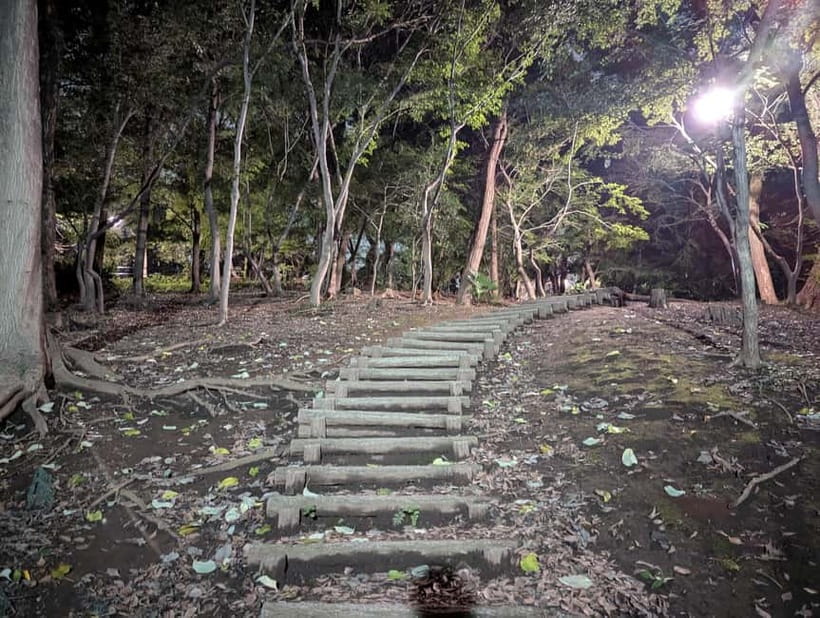 Tokyo: True Crime And Ghost Stories Tour - Who should book this Tokyo walk?