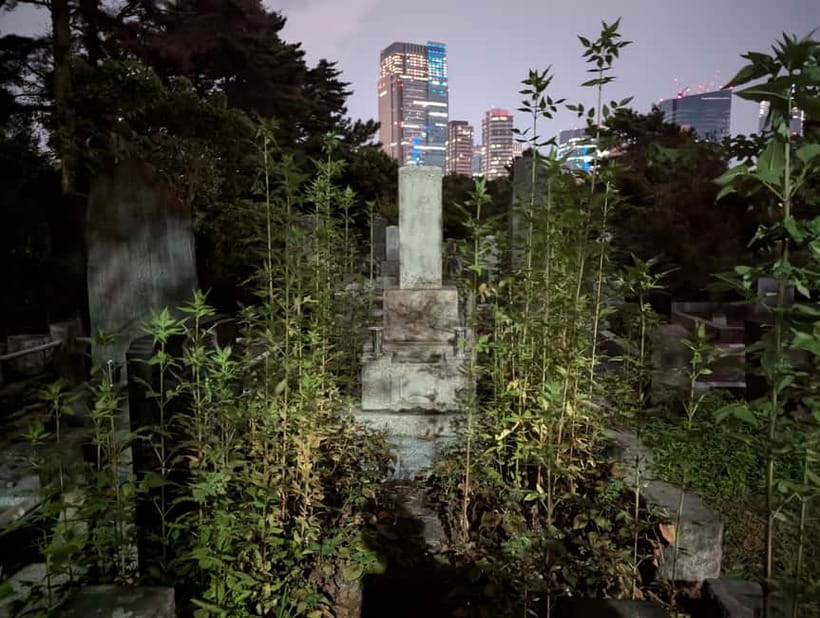 Tokyo: True Crime And Ghost Stories Tour - Should you book the True Crime and Ghost Stories Tour?