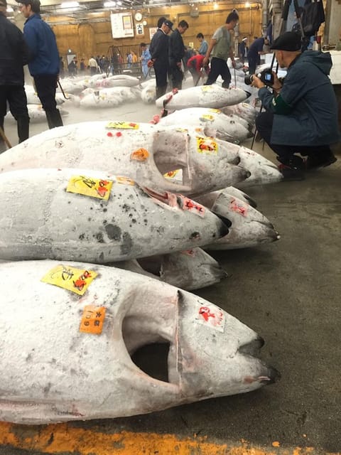 Tokyo: Tsukiji Fish Market Foodie and Educational Tour - Namiyoke Shrine and the market’s spiritual side