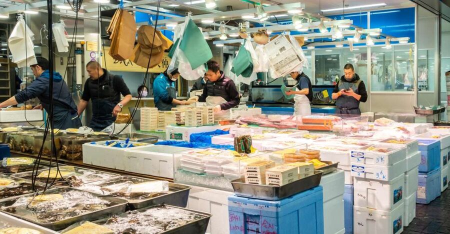 Tokyo Tsukiji Food & Culture Private Tour Licensed Guide - A six-hour day built around your appetite