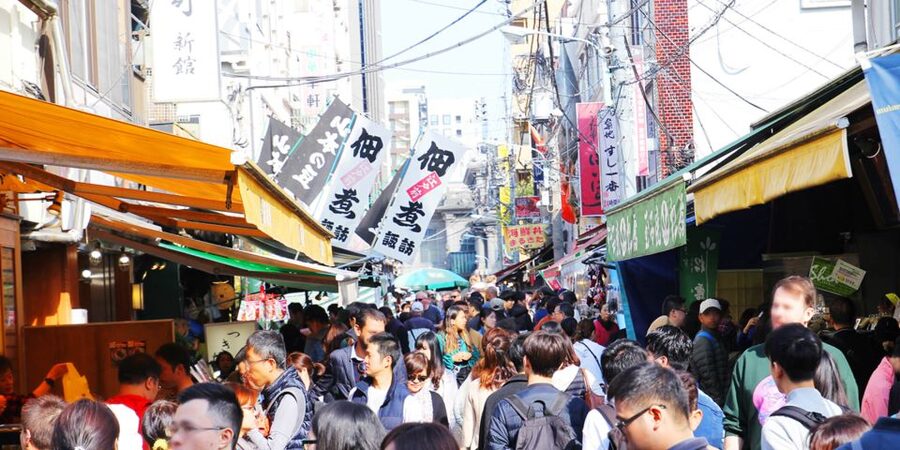 Tokyo Tsukiji Food & Culture Private Tour Licensed Guide - Transport, walking, weather, and the real pace