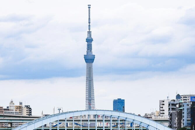 Tokyo Unlocked: A Private Day of Culture, Cuisine & City Secrets - One private car, eight very different Tokyo scenes