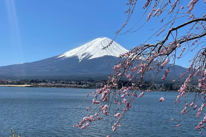 Tokyo Unlocked: A Private Day of Culture, Cuisine & City Secrets - Tsukiji is the day’s best food opportunity