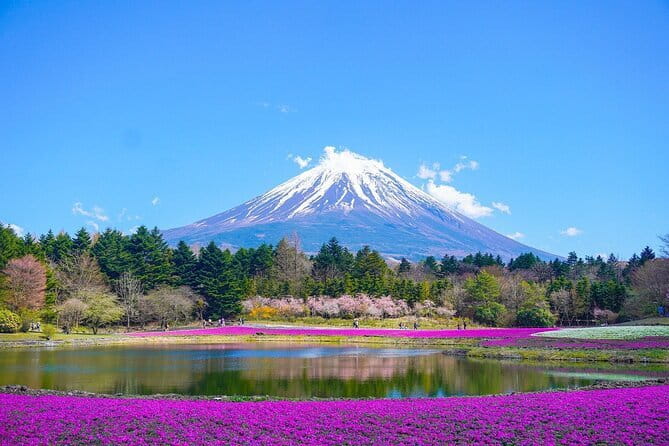 Tokyo Unlocked: A Private Day of Culture, Cuisine & City Secrets - The Imperial Palace needs a schedule check