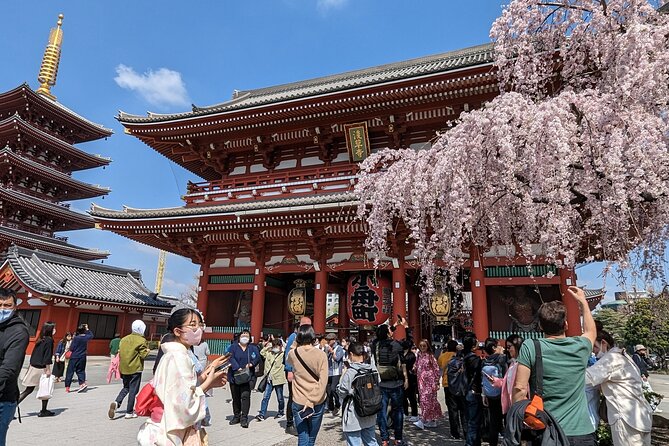 Tokyo VIP Guided Private Car Tour with Optional Airport Transfer - Key points at a glance