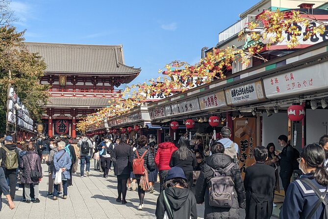 Tokyo VIP Guided Private Car Tour with Optional Airport Transfer - What the eight-hour day can really include