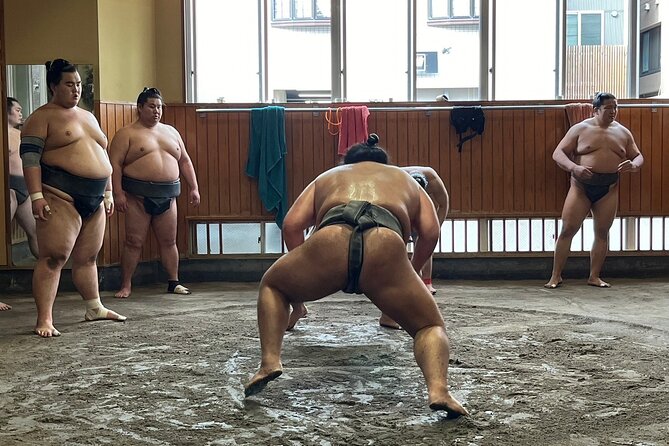 Tokyo: Visit Sumo Morning Practice with English Guide - What the 90-minute practice actually gives you