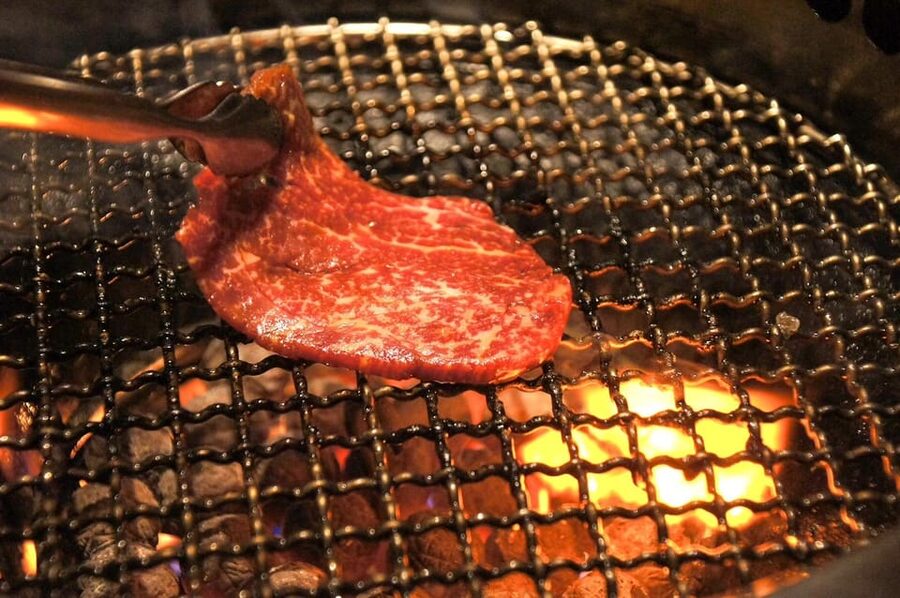 Tokyo: Wagyu and Sushi Gastronomic Journey - Key points at a glance