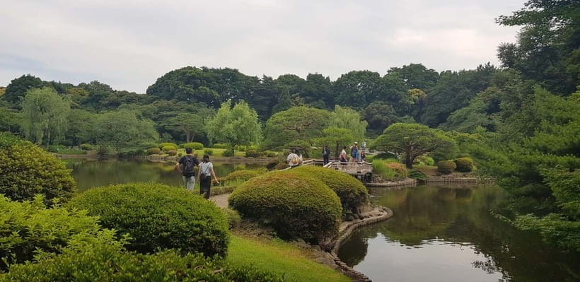 Tokyo Walk through: Shinjuku, Harajuku, Omotesando & Shibuya - Key points to know before you book