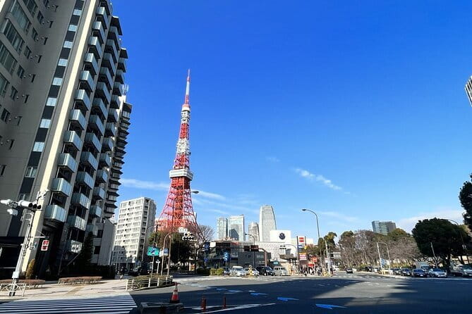 Tokyo Walking Tour : Sumo, Sushi, Tea, Temples and Tokyo Tower - Tsukiji Outer Market, where food costs extra