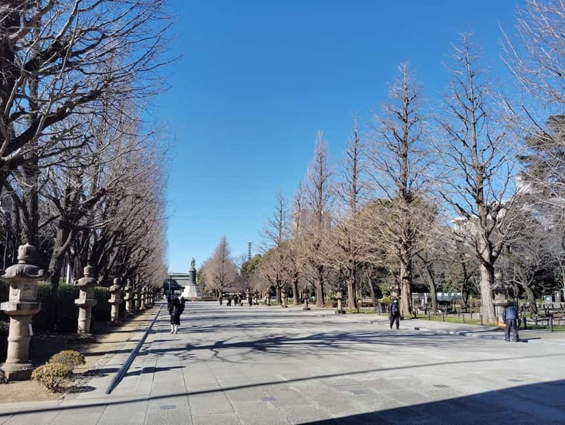 Tokyo War History Tour: Yasukuni Shrine & War Museum - The extended route to Chidorigafuchi National Cemetery