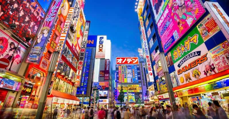 Tokyo: Winter Illuminations Private Tour with a Local - What your winter itinerary can include