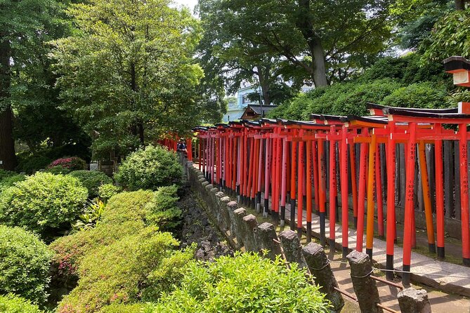 Tokyo : Yanaka and Nezu-Old Traditional Town Cultural Experience - Starting with torii gates at Nezu Shrine