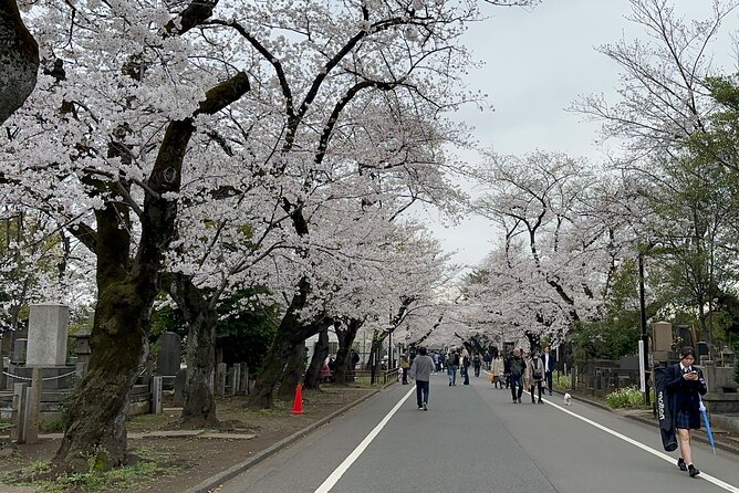Tokyo : Yanaka and Nezu-Old Traditional Town Cultural Experience - Ueno Sakuragi Atari and the converted bathhouse