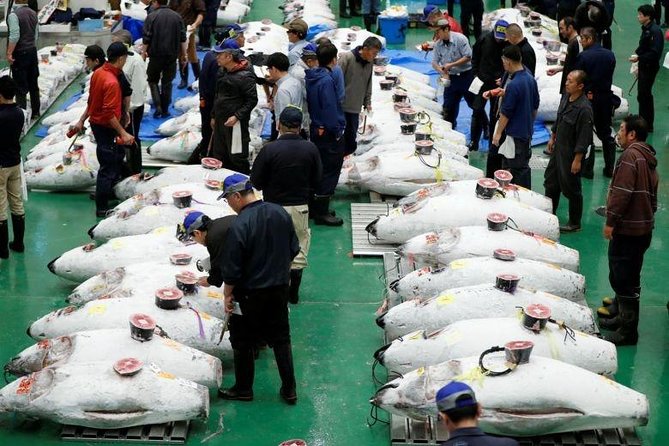 Toyosu Market Morning Tuna Auction and Tsukiji Food Tour with Licensed Guide - Meeting at 5:00 am in Tokyo