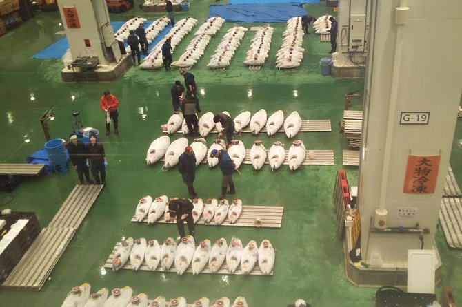 Tuna auction at Toyosu Market with qualified guide and early morning tour of Tsukiji Outer Market - Practical tips for getting the most from the morning