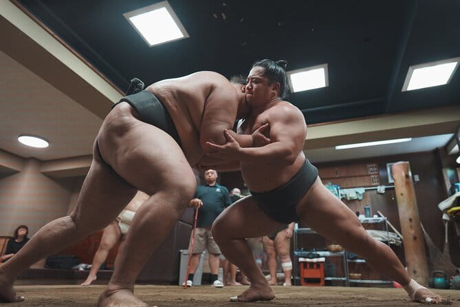 Unique Afternoon Live Sumo training tour in Tokyo - Why this Tokyo sumo visit feels different