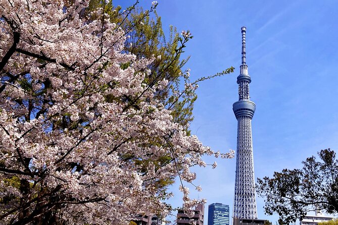 Unlock Hidden Tokyo: Private Custom Tour with a Local guide - Shibuya Crossing: a fast finish with a famous view