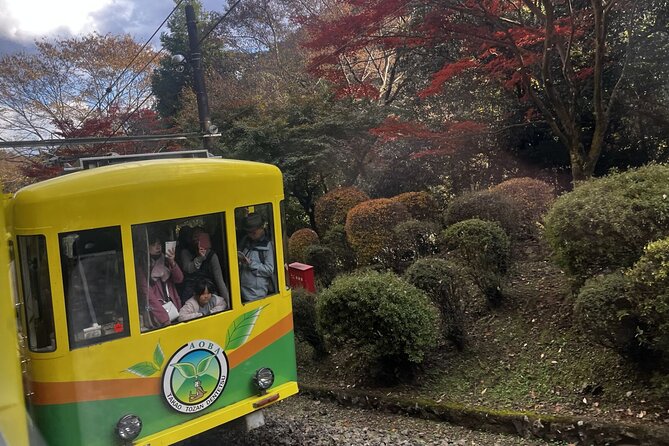Walking Tour Mount Takao : Nature and Tradition in Tokyo - Walking toward Yakuo-in Temple
