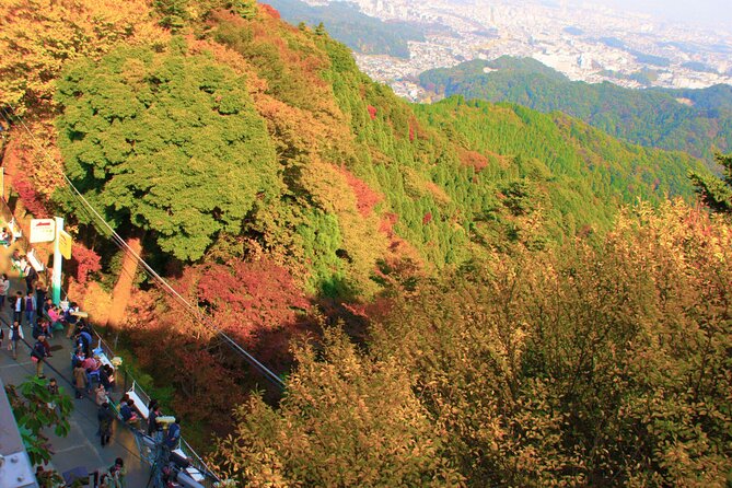 Walking Tour Mount Takao : Nature and Tradition in Tokyo - Using the cable car without losing the mountain feel