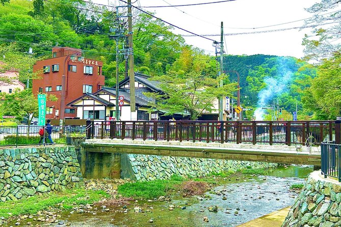 Walking Tour Mount Takao : Nature and Tradition in Tokyo - What is included for $165.13