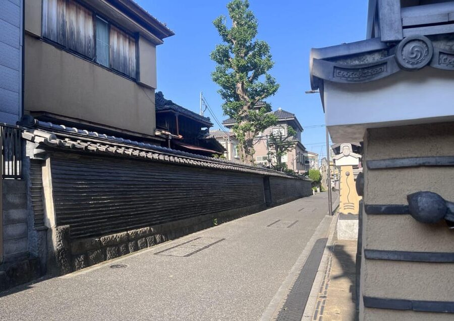 Walking Tour: Yanaka,Nezu& Sendagi: Tea Ceremony & Old Tokyo - What the $135 price really covers