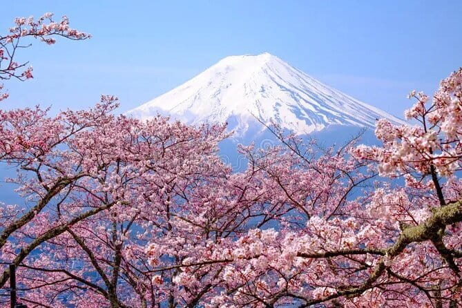 Wonderful Peaks & Peace: Mt. Fuji, Fuji Stupa & Hakone Tour - Chureito Pagoda and the classic Fuji photograph