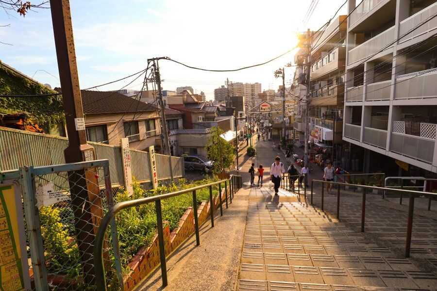 Yanaka District: Historical Walking Tour in Tokyo's Old Town - Nezu Shrine and the meaning of the Torii gates