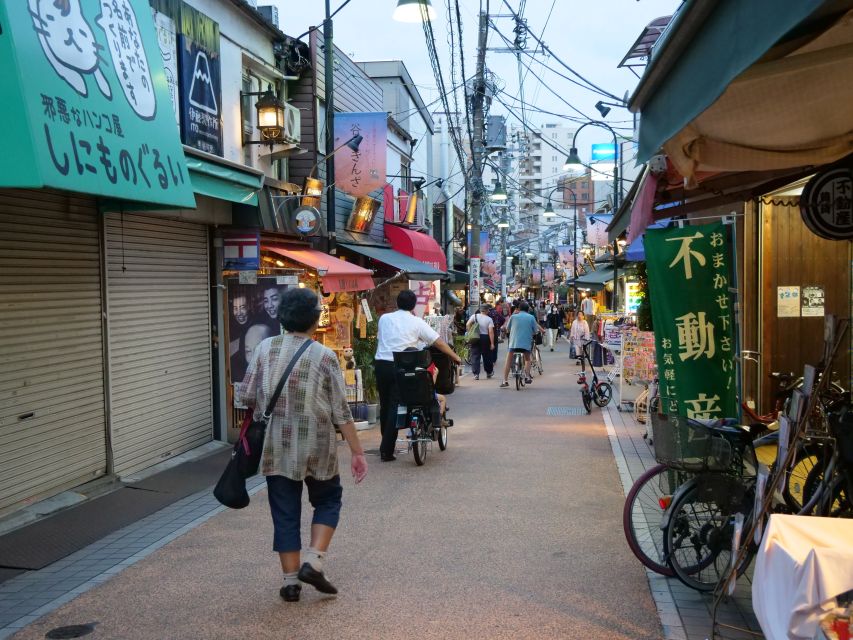 Yanaka District: Historical Walking Tour in Tokyo's Old Town - Hebimichi and the quieter face of Tokyo