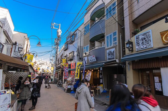 Yanaka Historical Walking Tour in Tokyo's Old Town - Key points to know before you book