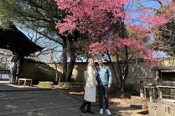Yanaka Walking Tour: Historic and Traditional District of Tokyo - Yanaka Ginza, snacks, and the final stretch
